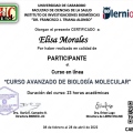Ampliar imagen: certificate 14