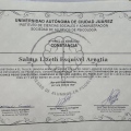 Ampliar imagen: certificate 5