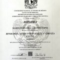 Ampliar imagen: certificate 4