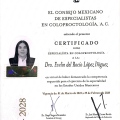 Ampliar imagen: certificate 2