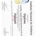 Ampliar imagen: certificate 7