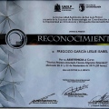 Ampliar imagen: certificate 11