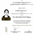 Ampliar imagen: certificate 6