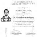 Ampliar imagen: certificate 3