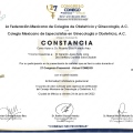 Ampliar imagen: certificate 4
