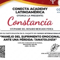 Ampliar imagen: certificate 7