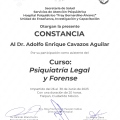 Ampliar imagen: certificate 6