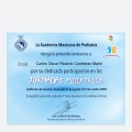 Ampliar imagen: certificate 8