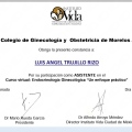 Ampliar imagen: certificate 28