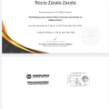 Ampliar imagen: certificate 3