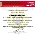 Ampliar imagen: certificate 4