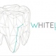 Whiteline Clínica Dental