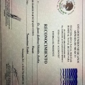 Ampliar imagen: certificate 7