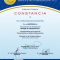 Ampliar imagen: certificate 10