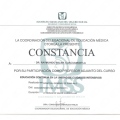 Ampliar imagen: certificate 5