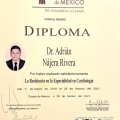 Ampliar imagen: certificate 4