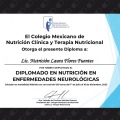 Ampliar imagen: certificate 4