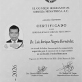 Ampliar imagen: certificate 1