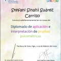 Ampliar imagen: certificate 7