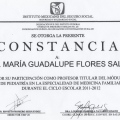 Ampliar imagen: certificate 2
