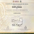 Ampliar imagen: certificate 2