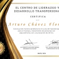 Ampliar imagen: certificate 2