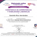 Ampliar imagen: certificate 6