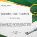 Ampliar imagen: certificate 3