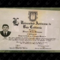 Ampliar imagen: certificate 3