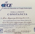 Ampliar imagen: certificate 13