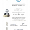 Ampliar imagen: certificate 2