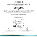 Ampliar imagen: certificate 3