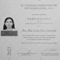 Ampliar imagen: certificate 1