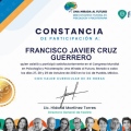 Ampliar imagen: certificate 5