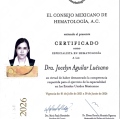 Ampliar imagen: certificate 2