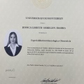 Ampliar imagen: certificate 6