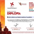 Ampliar imagen: certificate 9
