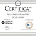 Ampliar imagen: certificate 7