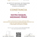 Ampliar imagen: certificate 2