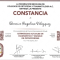 Ampliar imagen: certificate 8