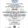 Ampliar imagen: certificate 4