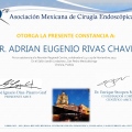 Ampliar imagen: certificate 1