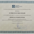Ampliar imagen: certificate 3