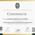 Ampliar imagen: certificate 10