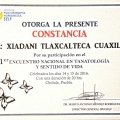Ampliar imagen: certificate 8