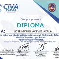 Ampliar imagen: certificate 7