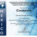 Ampliar imagen: certificate 3