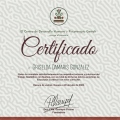 Ampliar imagen: certificate 3