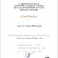 Ampliar imagen: certificate 5
