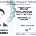 Ampliar imagen: certificate 5